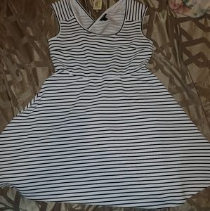 Torrid Dress